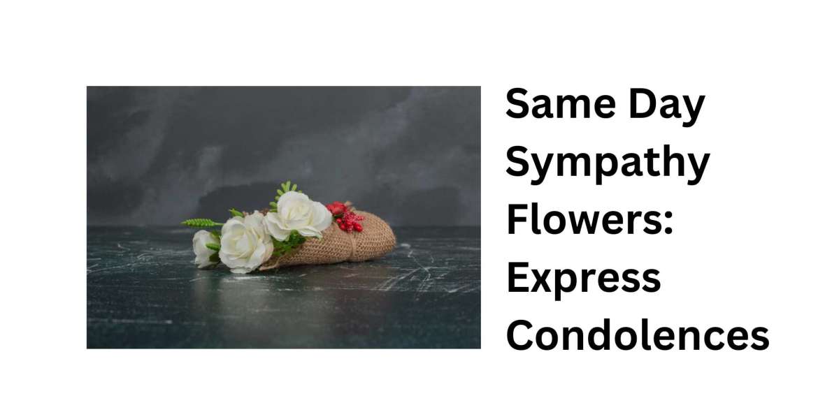 Same Day Sympathy Flowers: Express Condolences